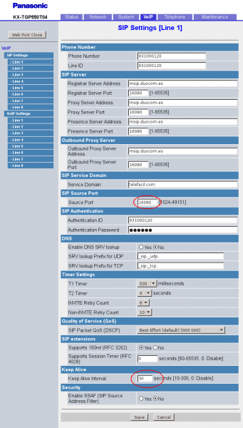 Archivo:Panasonic nv l1.png