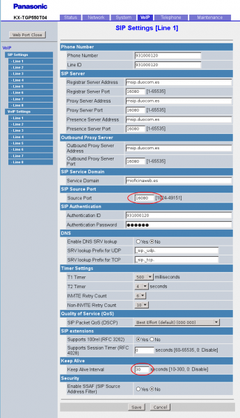 Archivo:OW panasonic nv l1.png